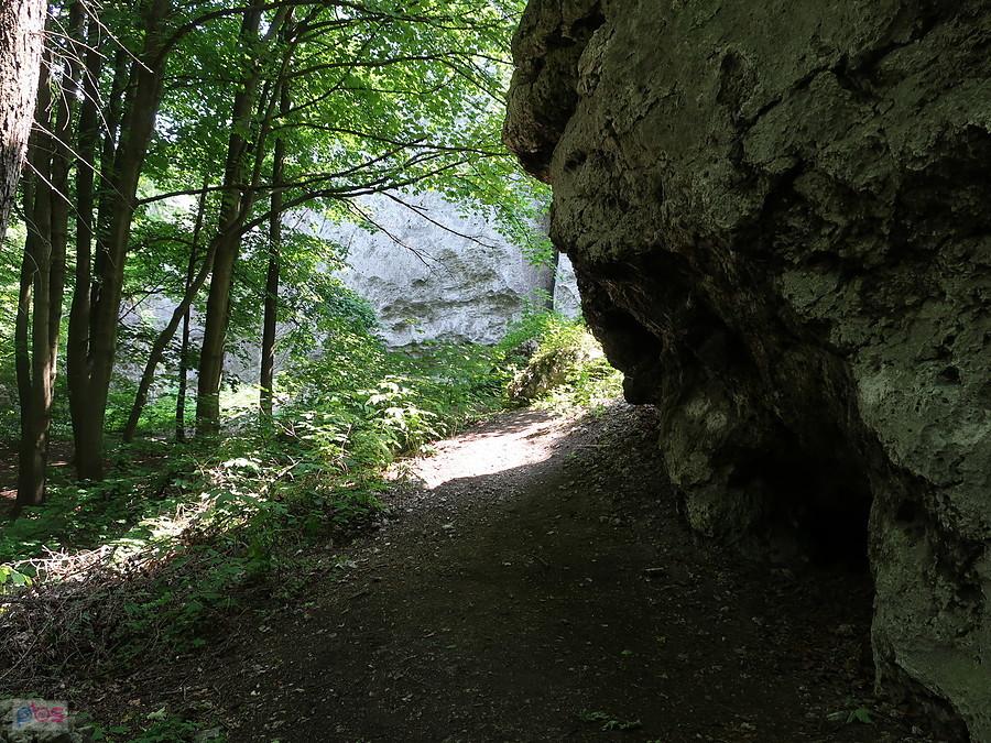 Na Górze Janowskiego