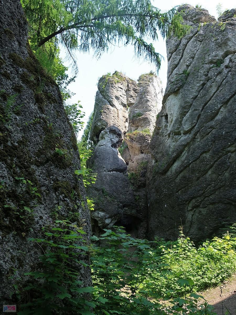 Skały w Podzamczu