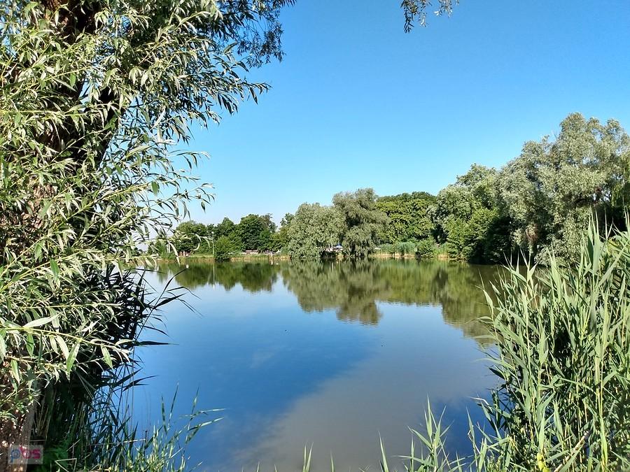 Staw w Zielonkach
