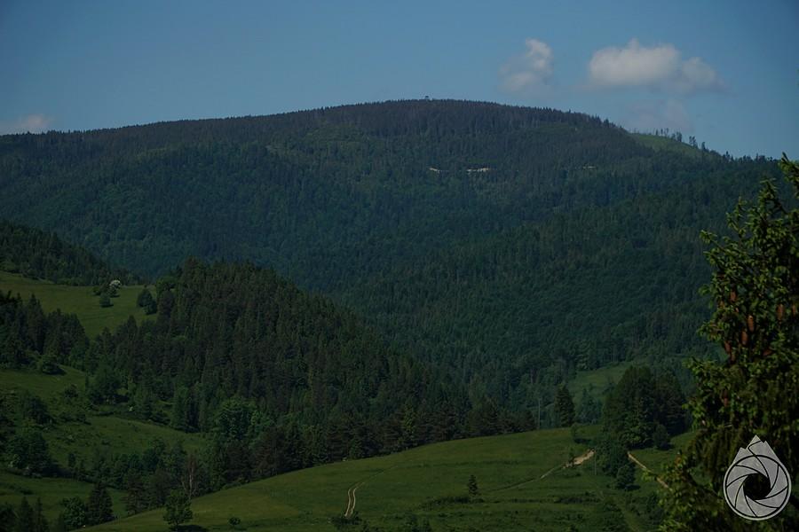 Radziejowa z Bukowinek