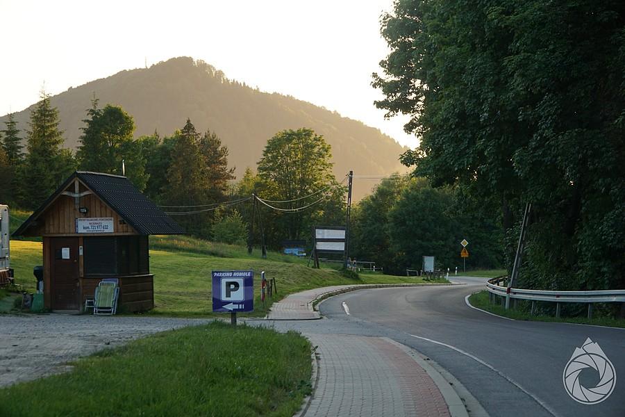 Złota Jarmuta