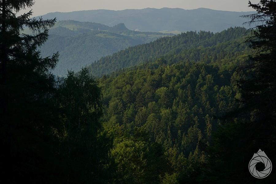 Małe Pieniny i Levocske vrchy z rana
