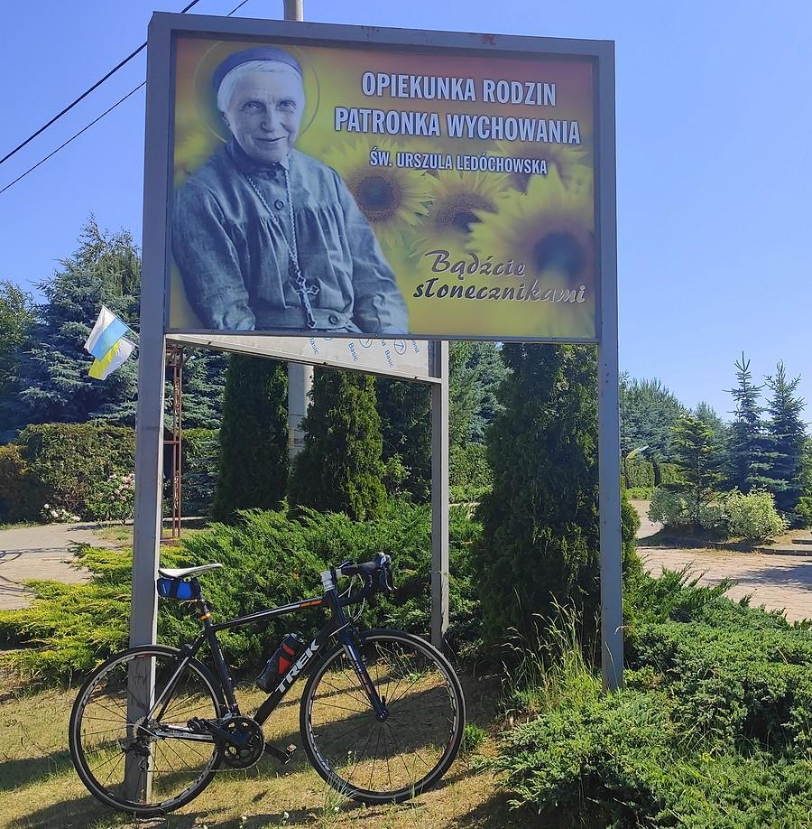 Bądź... słonecznikiem. Hm :) Borówiec