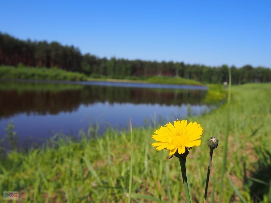 Cisza i spokój