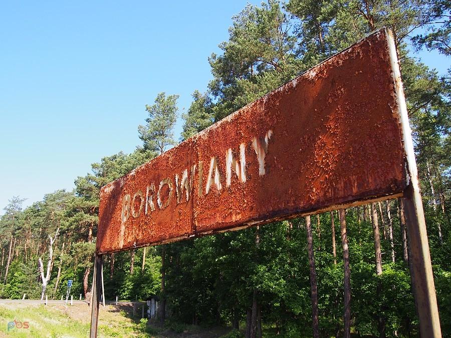 Borowiany stejszyn