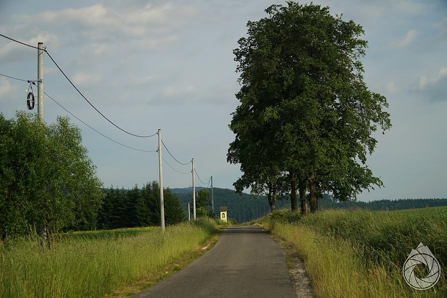 kapliczka gdzieś pod Śnieżnikiem