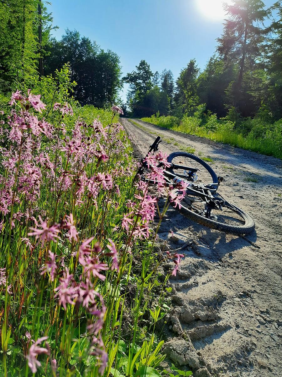 Taranawka/Grzegorzówka.