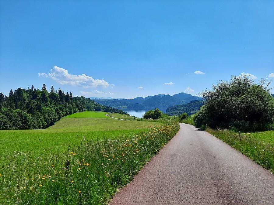 Pieniny zostawiam w tyle.