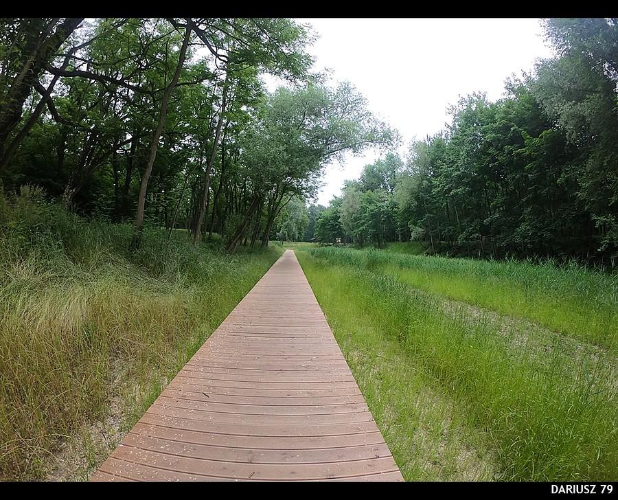 Sosnowiec - Park Tysiąclecia