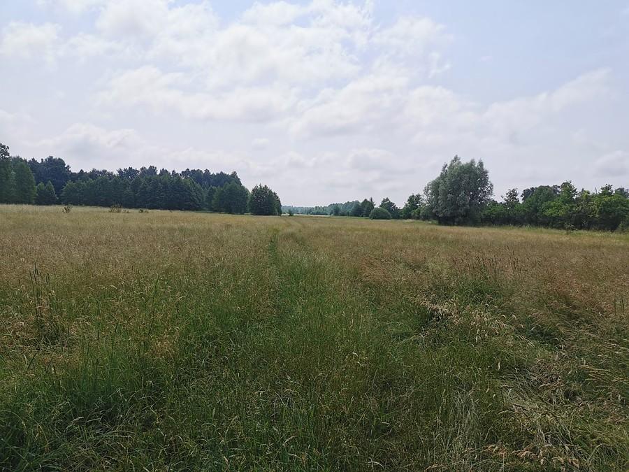 Wytęż wzrok i znajdź drogę