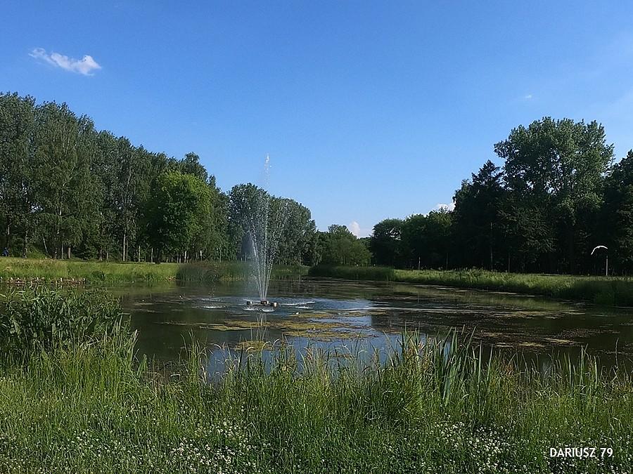 Czeladź - Park Grabek