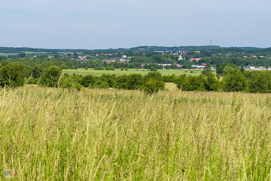 Widok na północny wschód w Koziegłówkach
