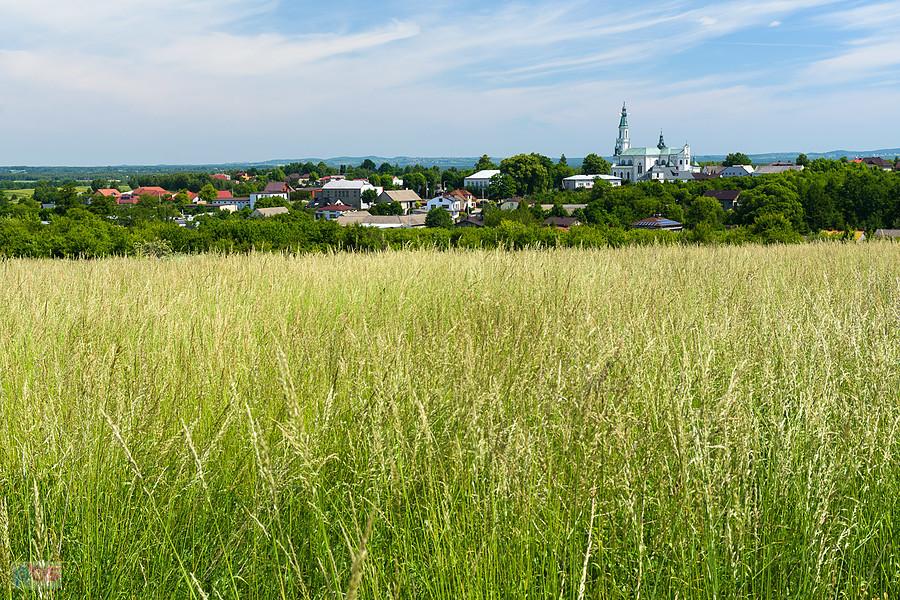 Koziegłówki