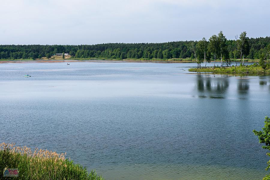 Zalew Nakło-Chechło - widok z południowego brzegu