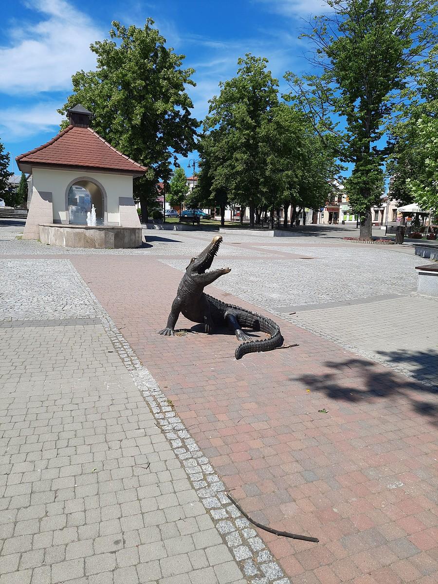 Jest Nil, jest i krokodyl, Kolbuszowa.
