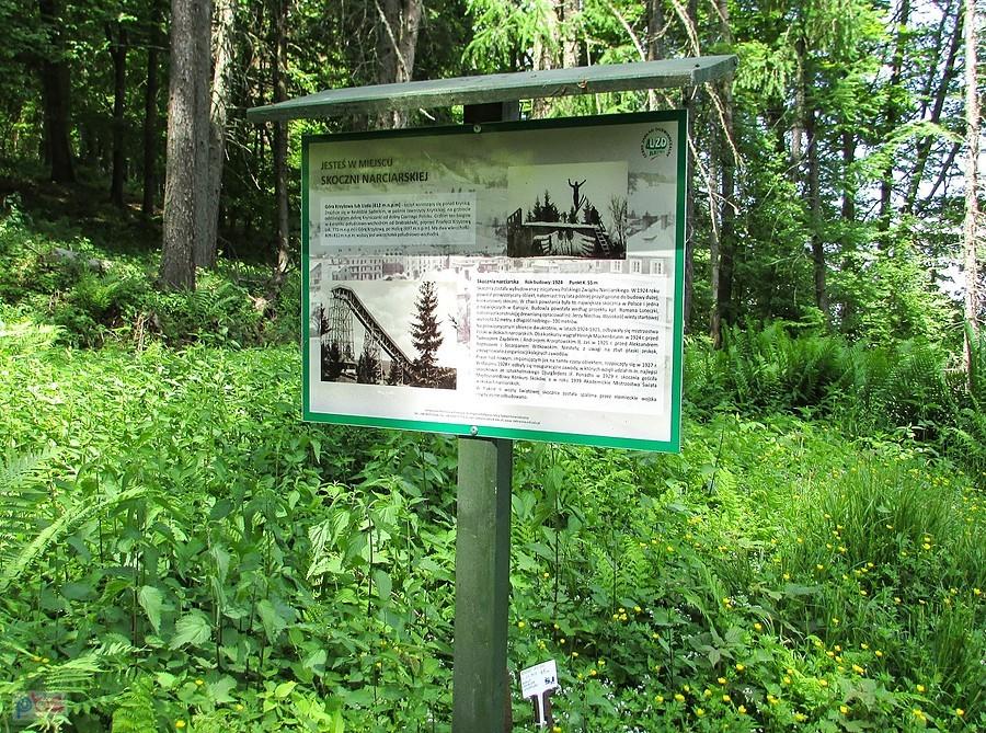 Miejsce skoczni narciarskiej pod Górą Krzyżową