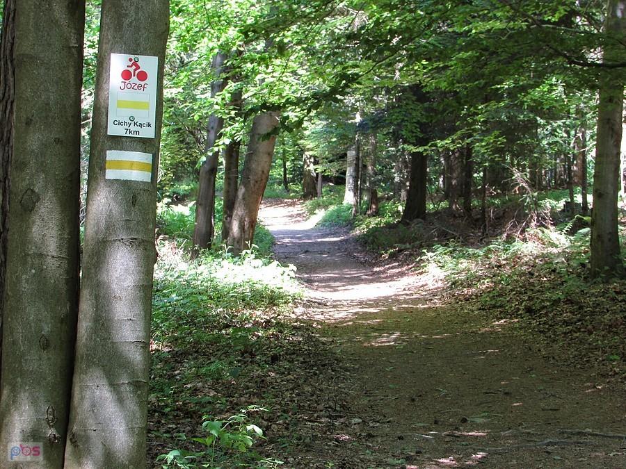 Na trasie mtb "Józef"