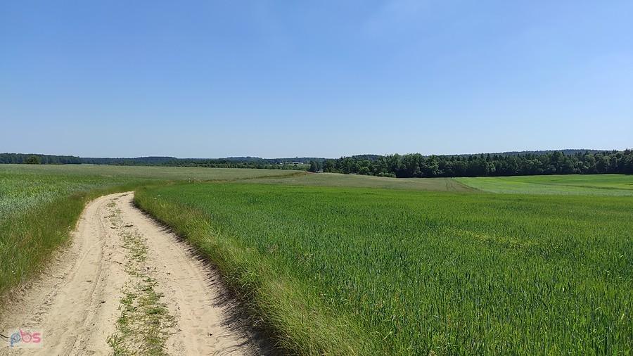 Piaszczysty odcinek szlaku, ale uroczy
