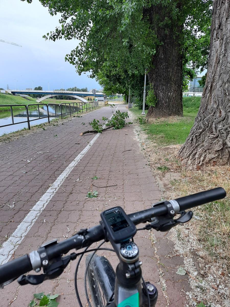 Trochę wiało.