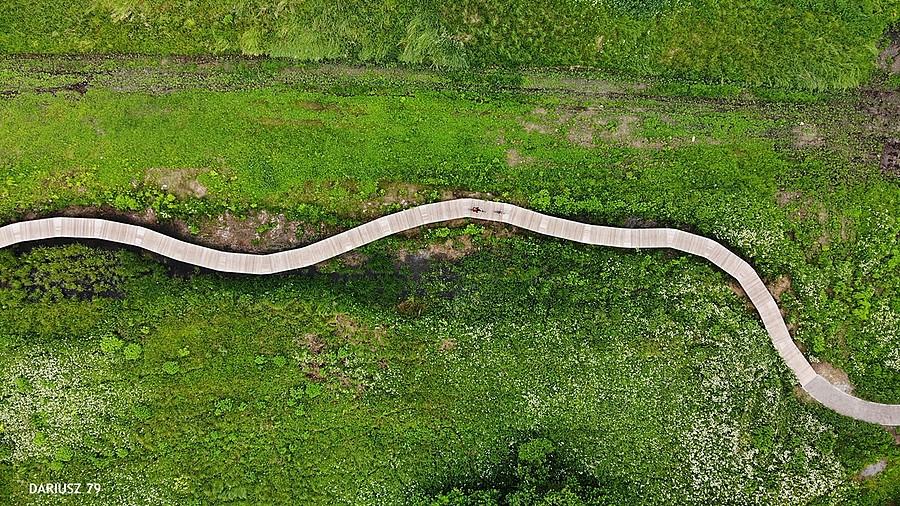 Sławków - Ścieżka przyrodnicza na Walcowni (Zagłębiowskiego Parku Linearnego)