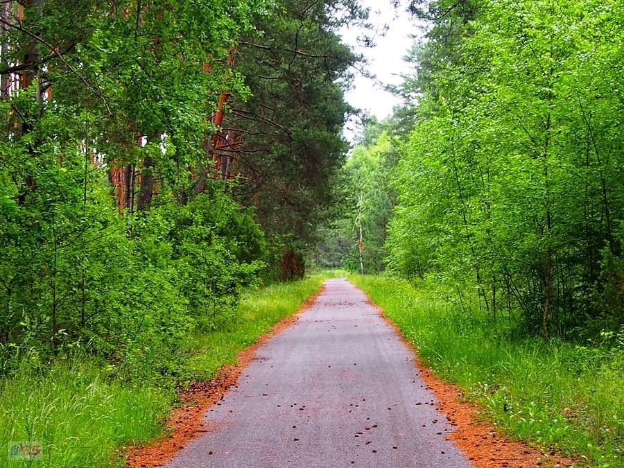 Gościniec Mirowski