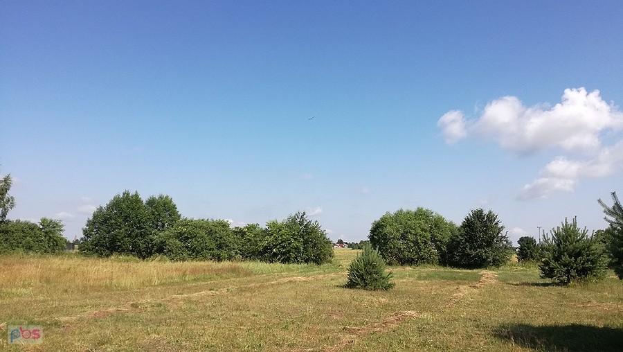 Nieużytki pod Chroślą