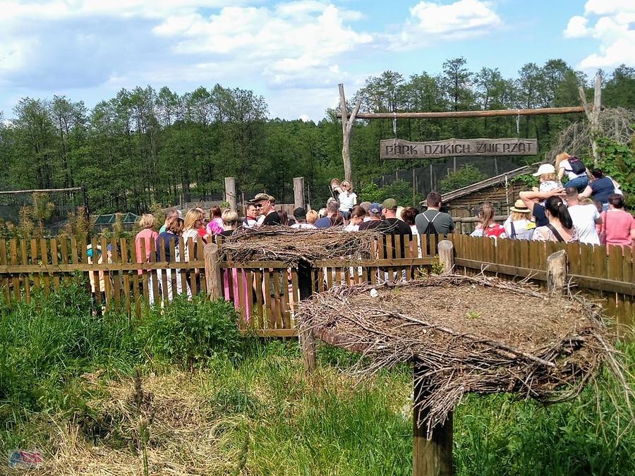 Park Dzikich Zwierząt-Kadzidłowo