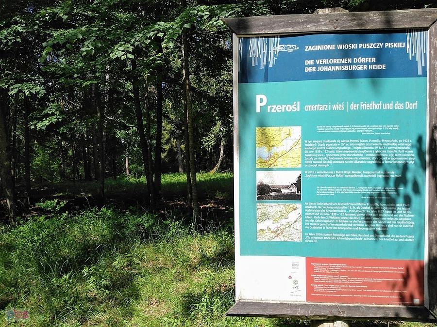 Tablica informacyjna w lesie koło Przerośli