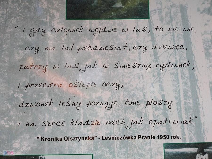 Pranie -muzeum K.I. Gałczyńskiego