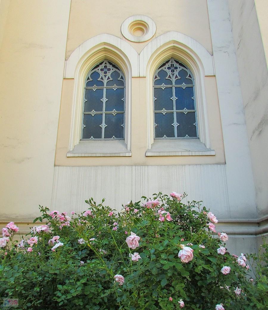 Gotyk i róże