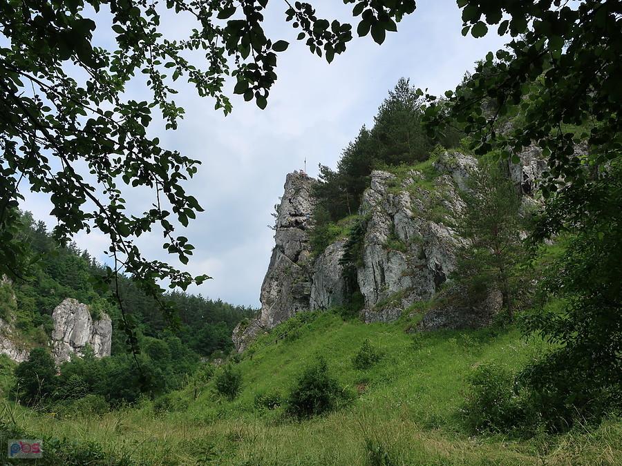 Skała Żabi Koń w Dolinie Kobylańskiej