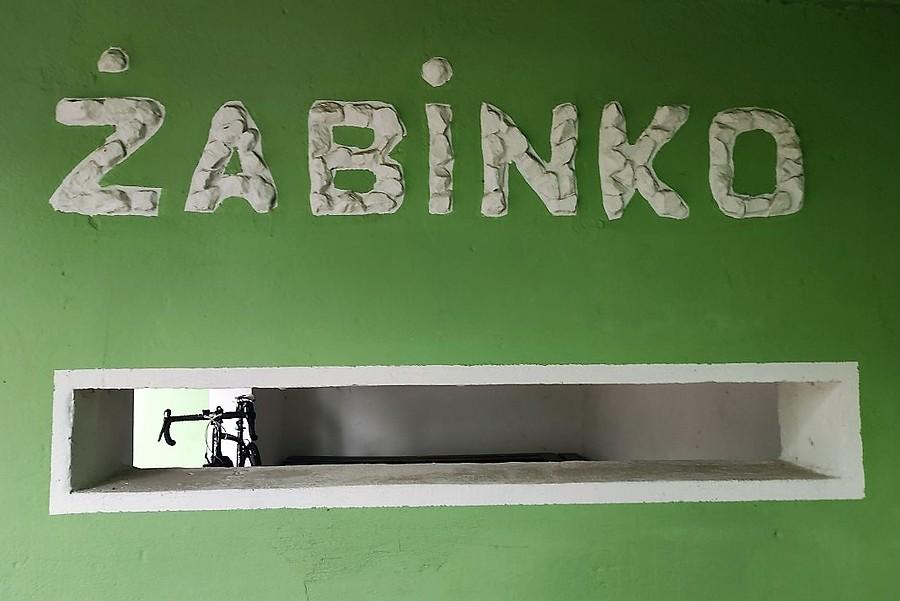 Panienka (szosowa) z okienka z Żabinka :)