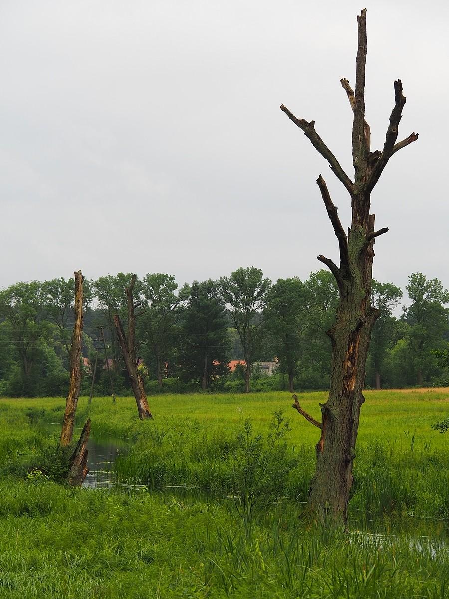 Krajobraz nad Ilanką