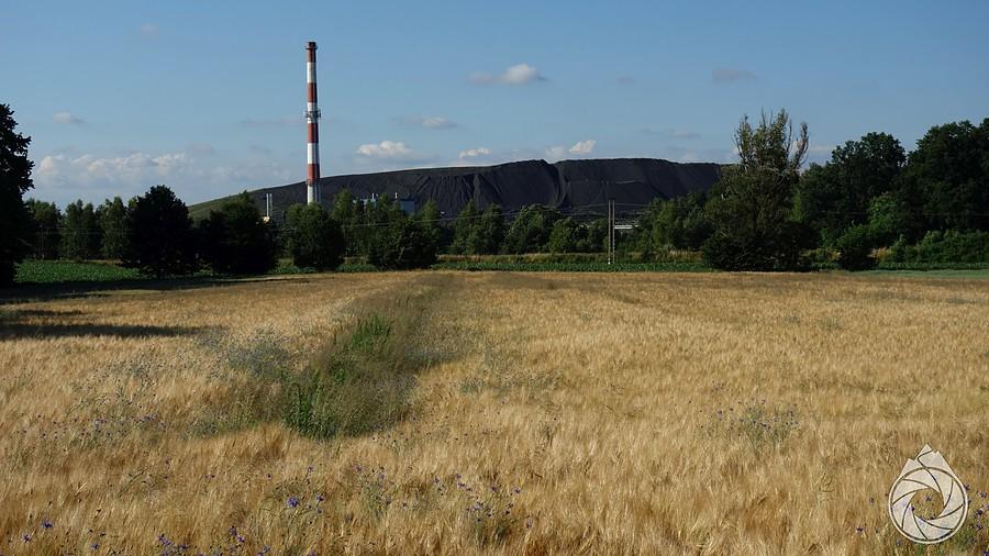 chałda pokopalniana zza zbóż