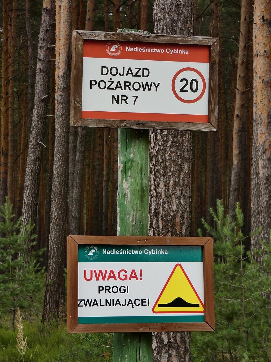Droga pożarowa nr. 7, okolice szkółki Radzików
