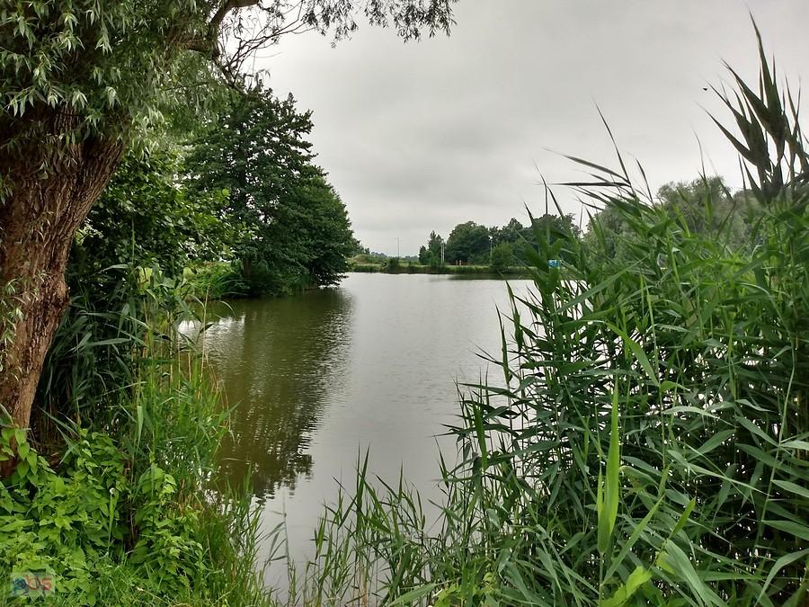 Staw w Zielonkach