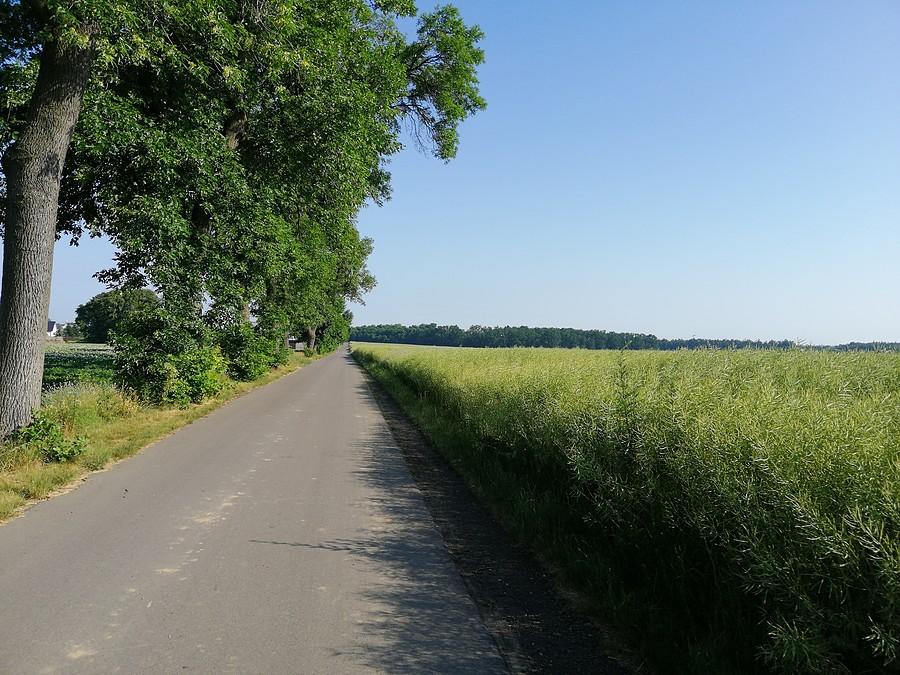 Widoczek za Kaliszem na powrocie.