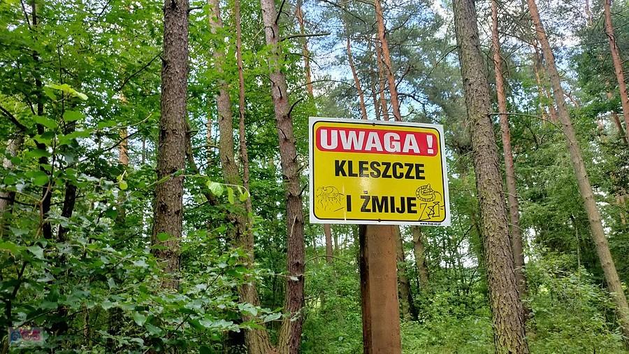 I co jeszcze?