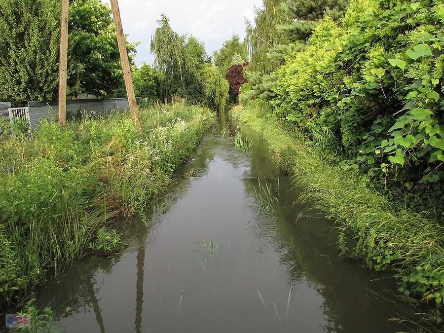 Przepełniony Rów Jeziorki