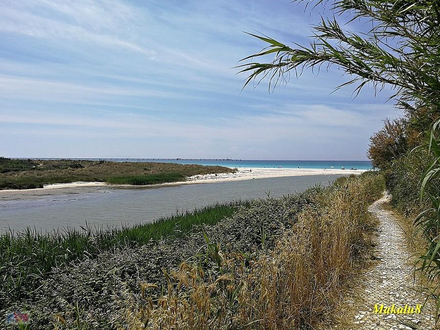 UjścieFine, Spiagge bianche