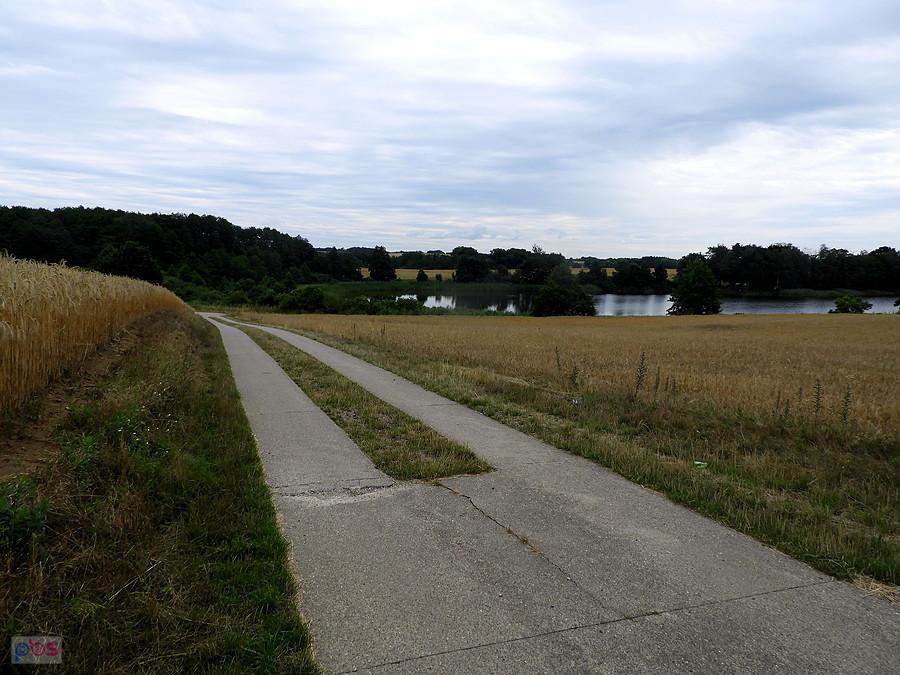 Droga z płyt betonowych od Lebehn do Ladenthin.