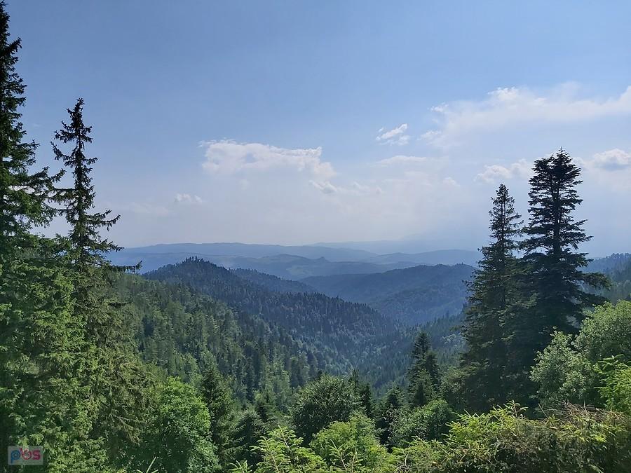 Widok z Przehyby