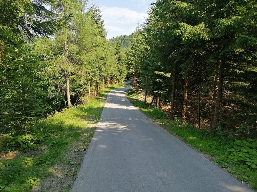 Zjazd z Przechyby jest bardzo niebezpieczny.
