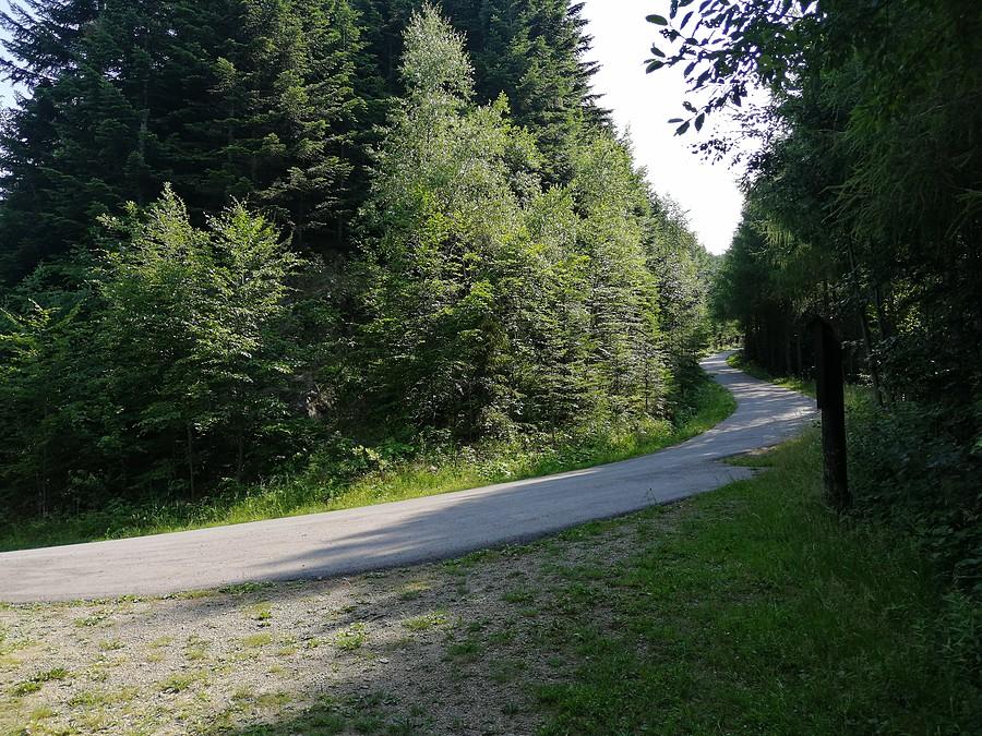 Serpentynka na zjeździe. Jeśli źle ocenisz moment hamowania to wylatujesz :)