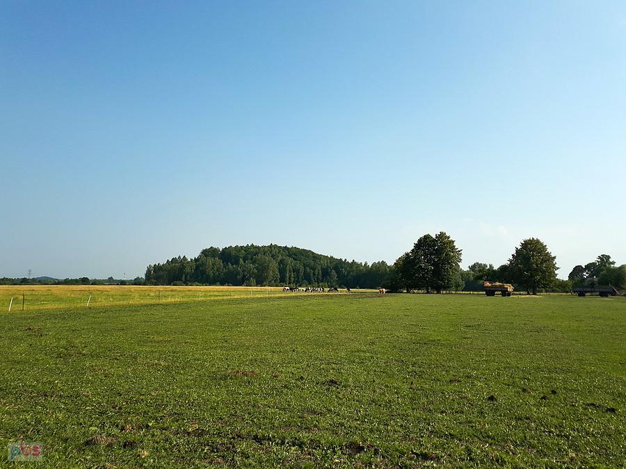 Huta Stara B i wzniesienie/hałda "Mirosław"