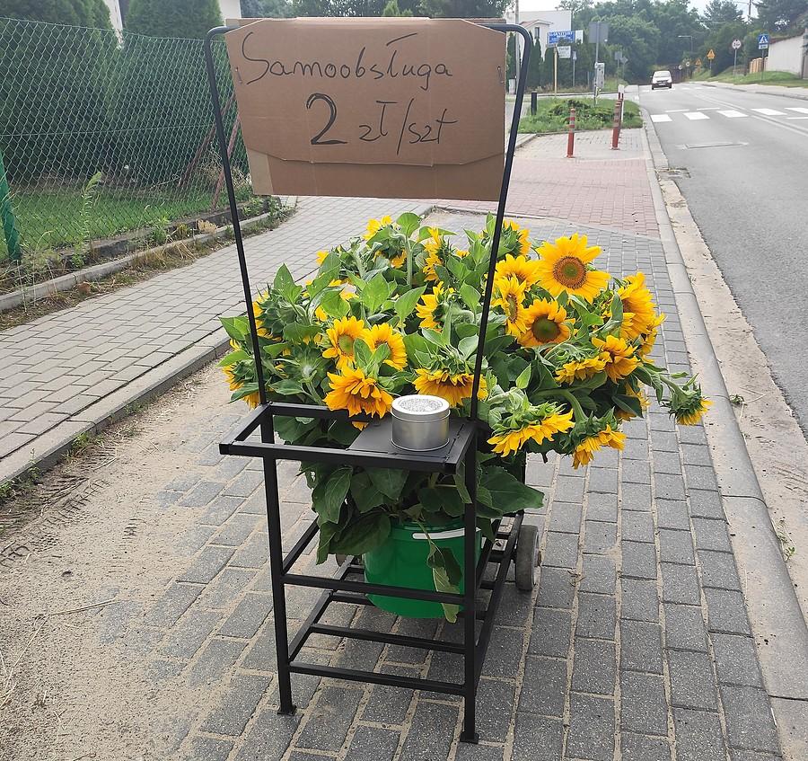 To się nazywa zaufanie :)