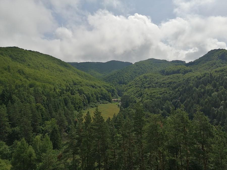Widoczek z zamku.