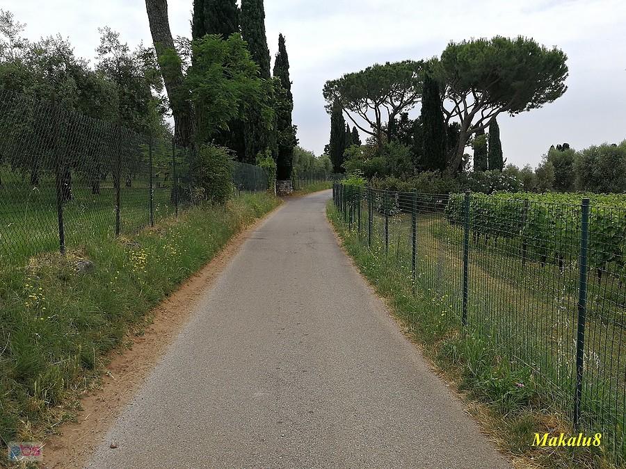 Trasa rowerowa Salo-Desenzano
