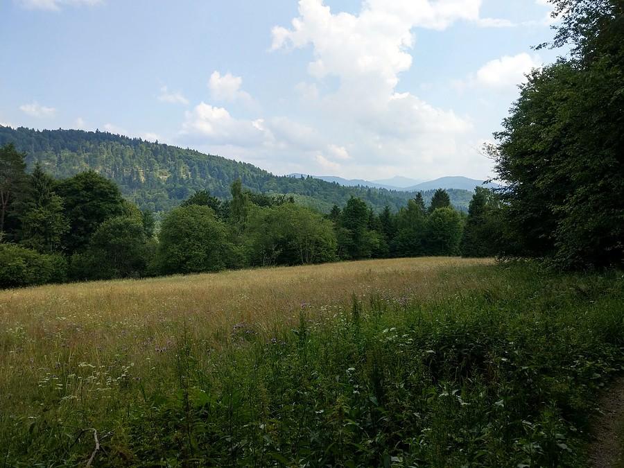 Ostatni widoczek