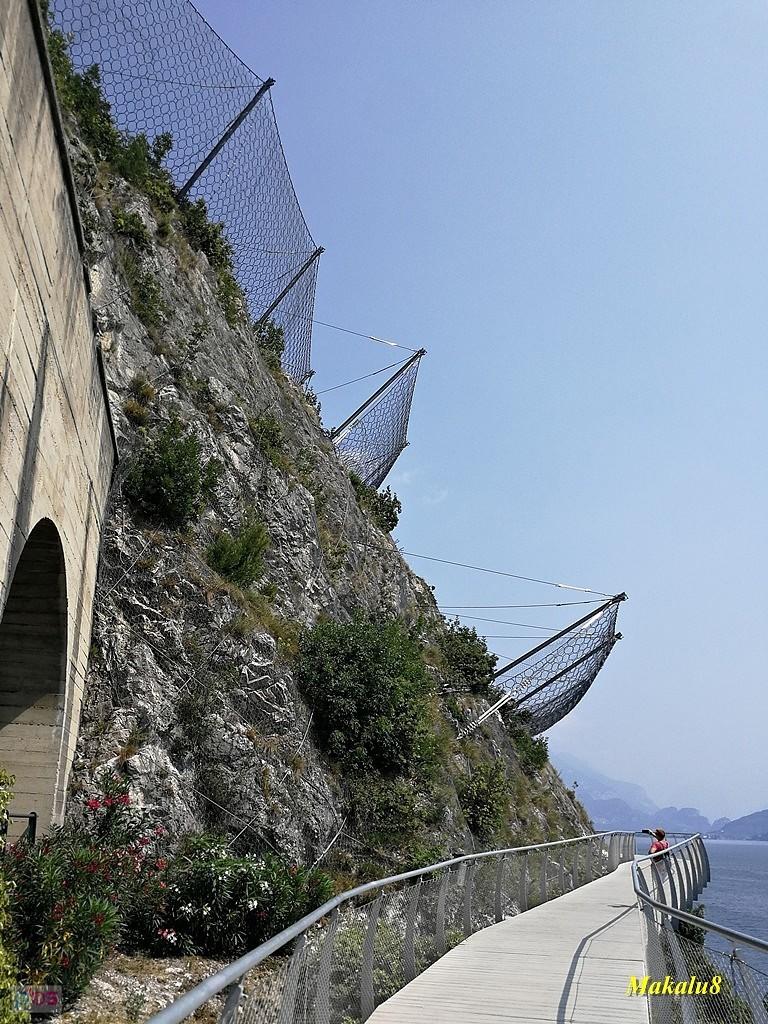 Limone